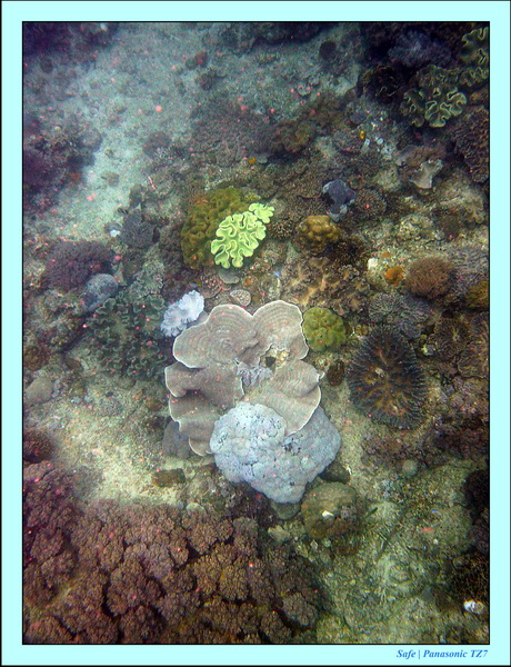 2012 - 07 - Boracay plongee - 02